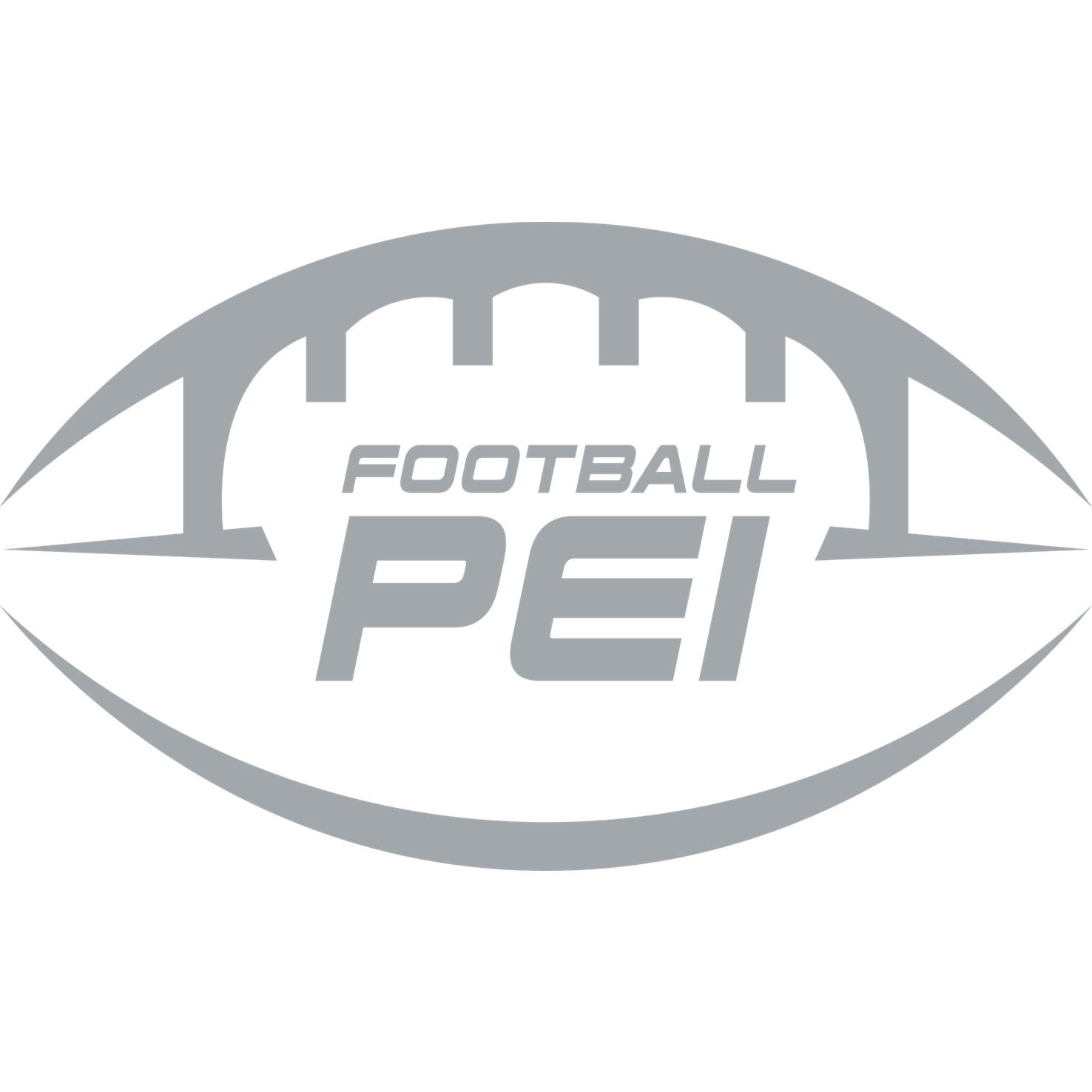 Primary Grey on White